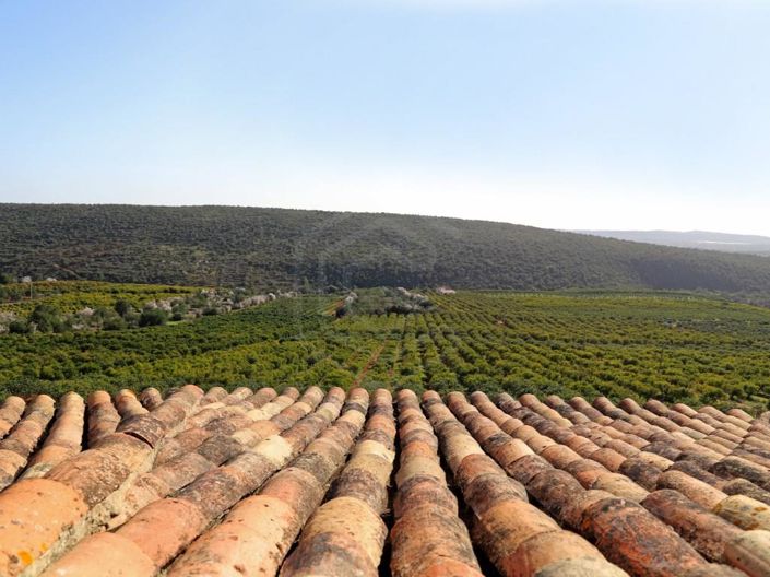 Image No.57-House for sale