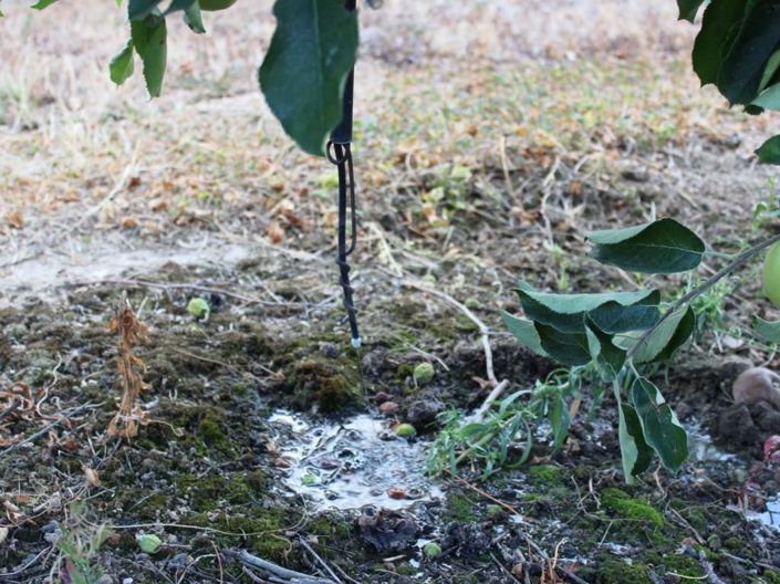 Image No.17-6 Bed House for sale