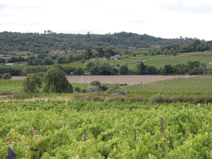 Image No.19-6 Bed House for sale