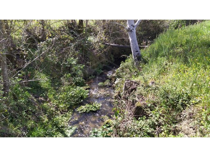 Image No.22-6 Bed House for sale