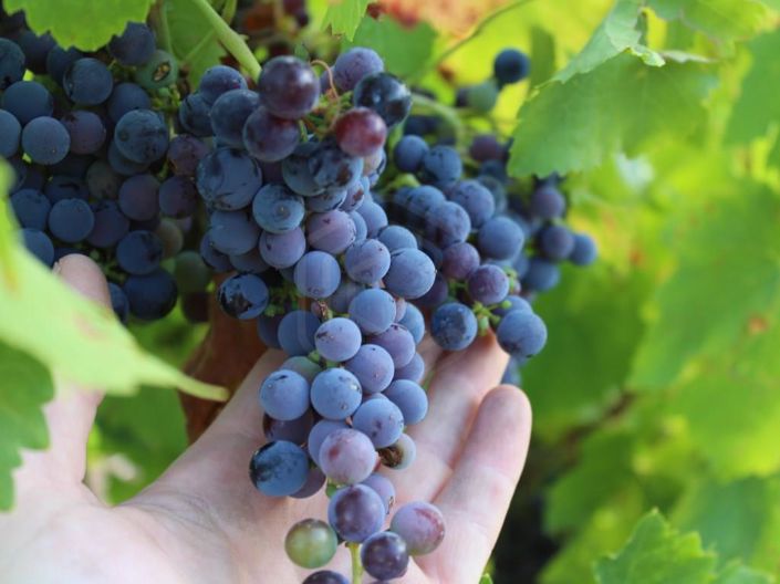 Image No.23-6 Bed House for sale