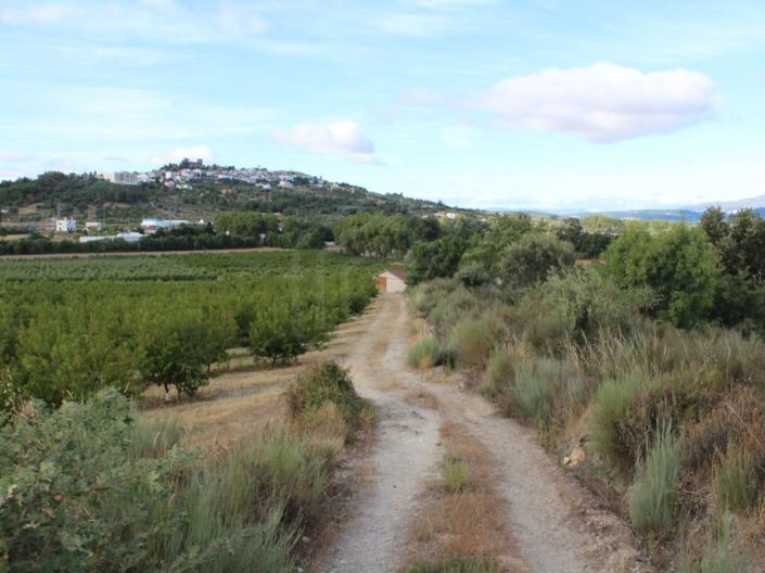 Image No.31-6 Bed House for sale