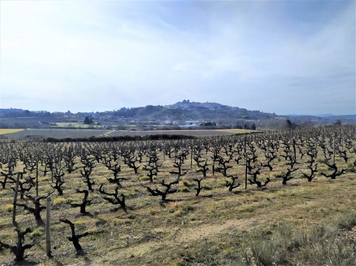 Image No.34-6 Bed House for sale