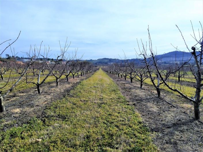 Image No.35-6 Bed House for sale