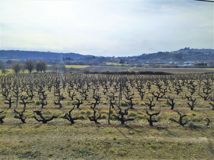 Image No.36-6 Bed House for sale