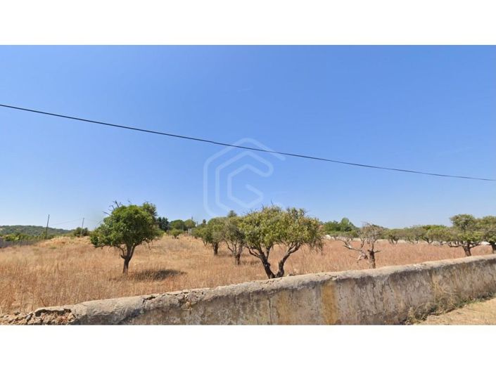 Image No.24-4 Bed House for sale