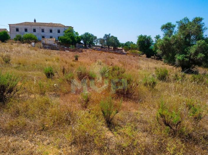 Image No.18-13 Bed House for sale