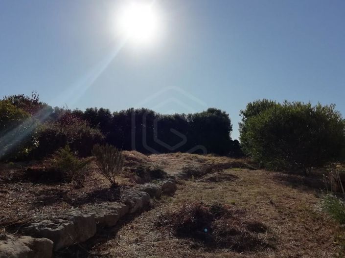 Image No.31-4 Bed House for sale