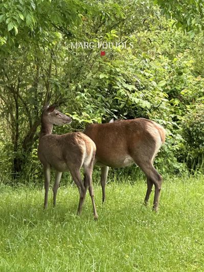 Image No.15-4 Bed House for sale