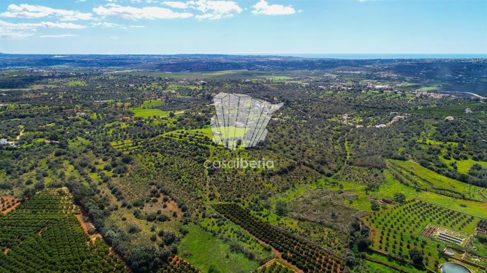 Image No.12-3 Bed House for sale