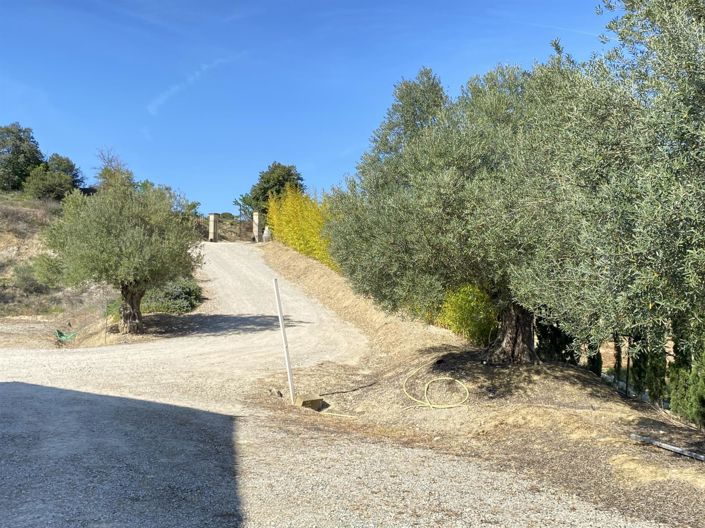 Image No.22-3 Bed House for sale