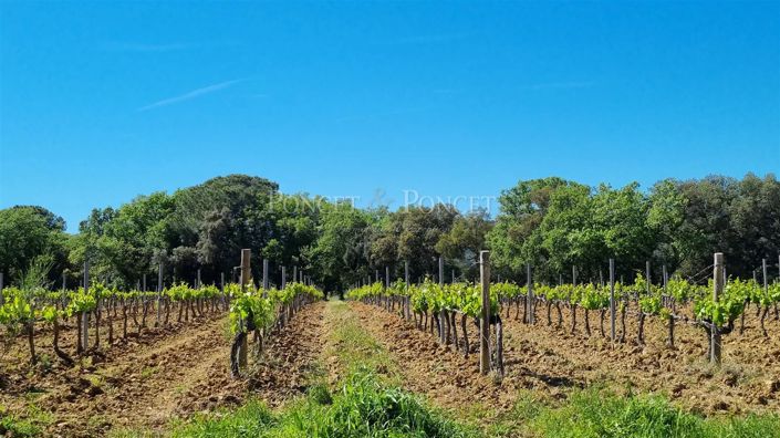 Image No.34-4 Bed House for sale