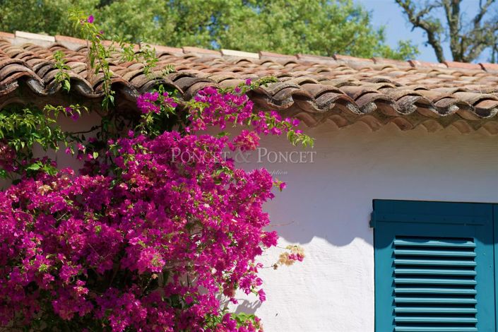 Image No.9-4 Bed House for sale