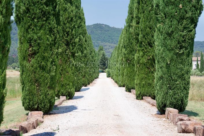 Image No.3-12 Bed House for sale