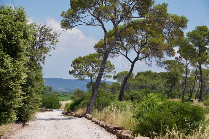 Image No.4-12 Bed House for sale