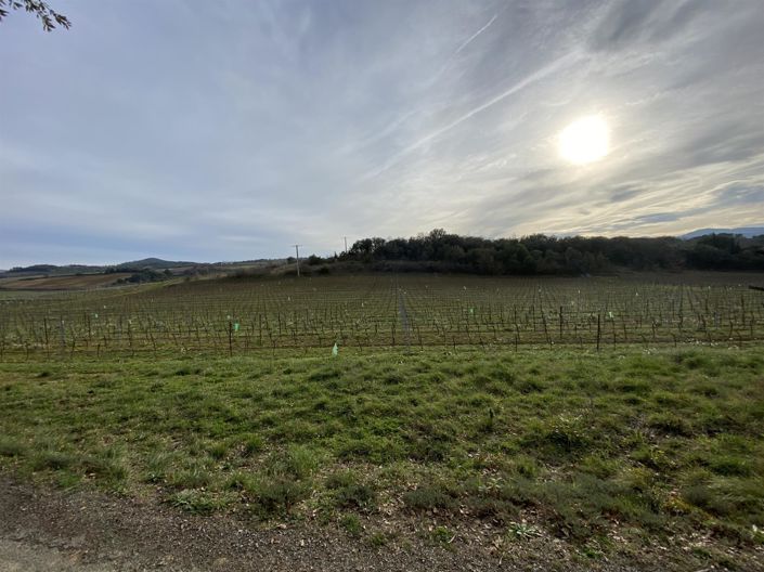 Image No.2-4 Bed House for sale