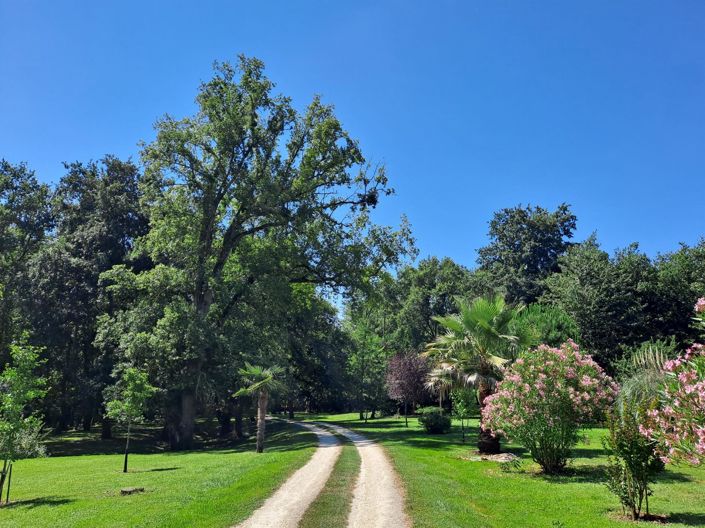 Image No.5-11 Bed Property for sale