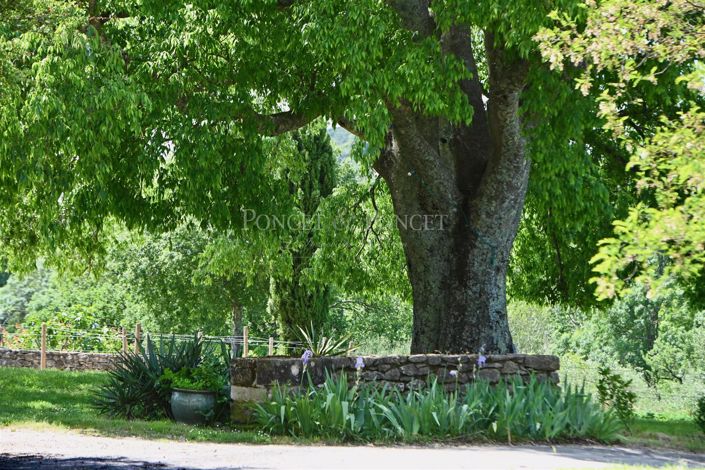 Image No.50-12 Bed House for sale