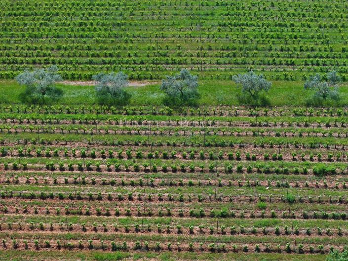 Image No.12-House for sale