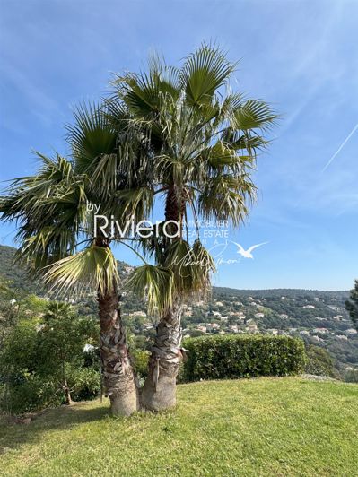 Image No.28-3 Bed House for sale