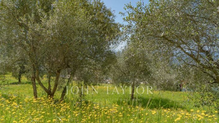 Image No.24-5 Bed House for sale