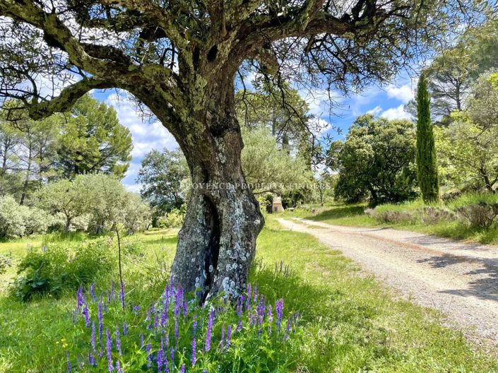 Image No.18-5 Bed House for sale