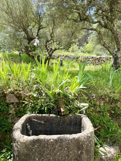 Image No.33-5 Bed House for sale