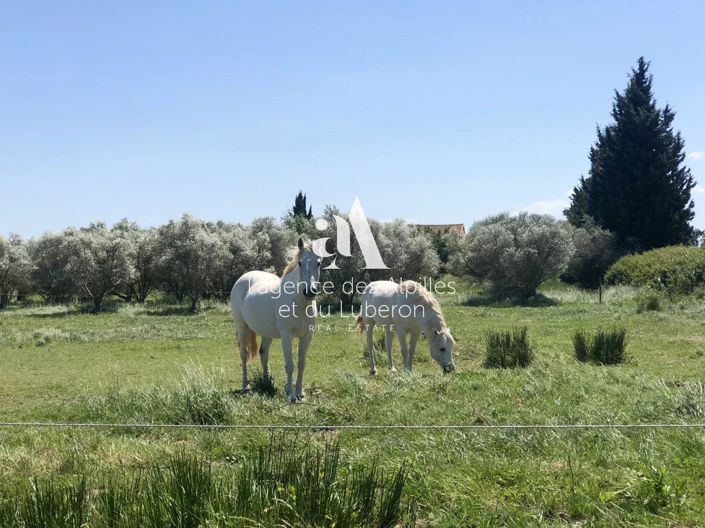 Image No.6-6 Bed House for sale