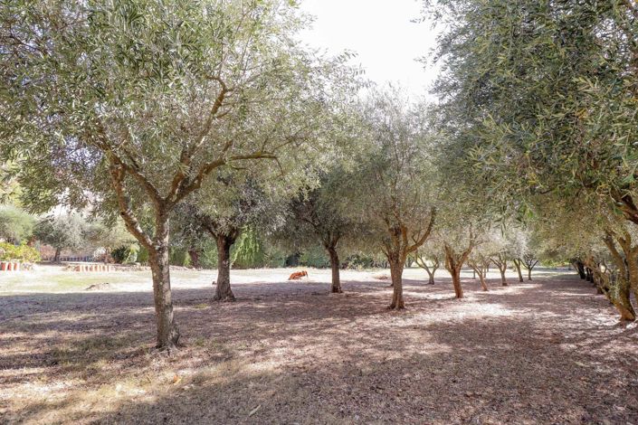 Image No.22-4 Bed House for sale