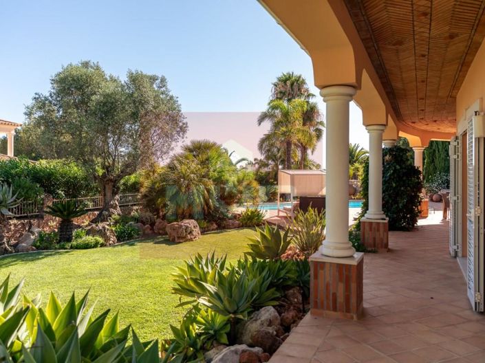 Image No.22-3 Bed House for sale