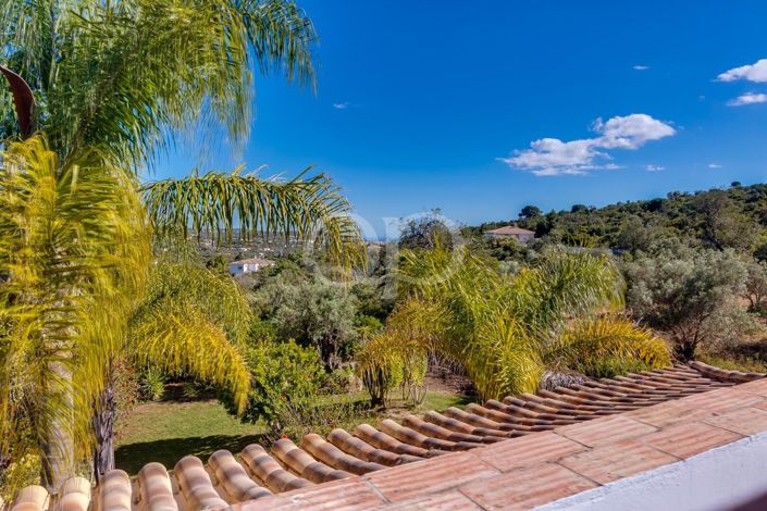 Image No.13-4 Bed House for sale