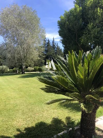 Image No.24-5 Bed House for sale