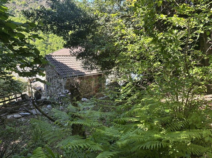 Image No.6-5 Bed House for sale