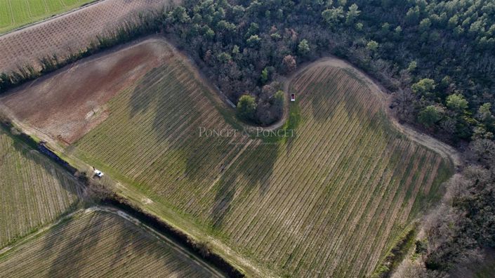 Image No.11-4 Bed House for sale