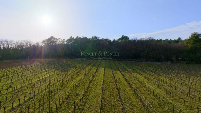 Image No.13-4 Bed House for sale