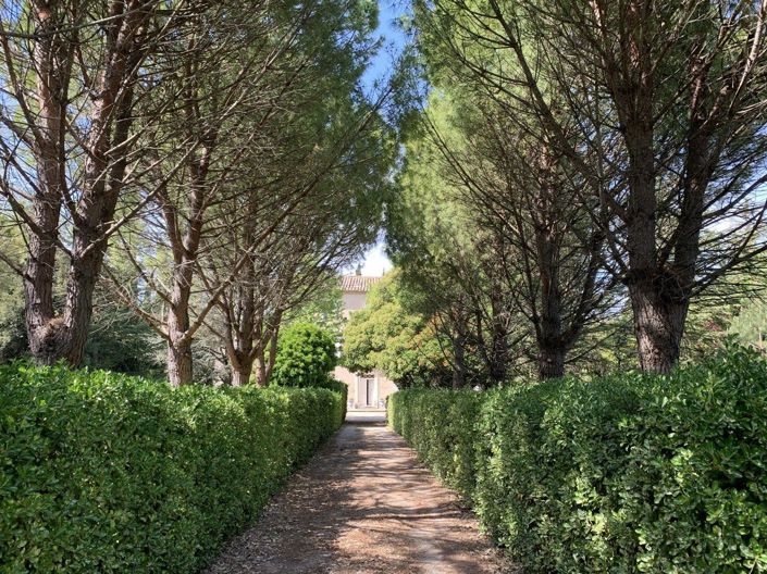 Image No.2-12 Bed House for sale