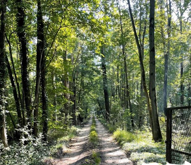 Image No.6-House for sale