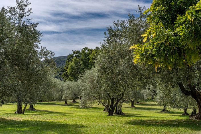 Image No.4-6 Bed House for sale