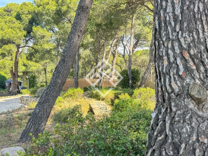 Image No.29-4 Bed House for sale