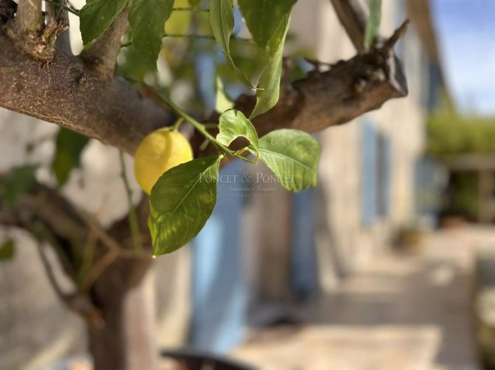 Image No.9-8 Bed House for sale