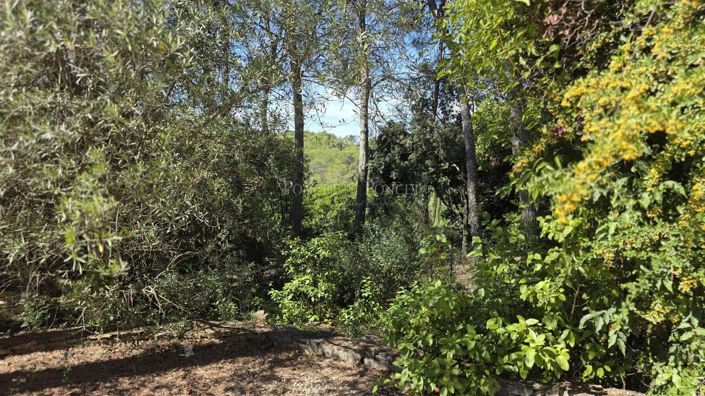 Image No.21-7 Bed House for sale