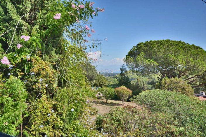 Image No.10-4 Bed House for sale