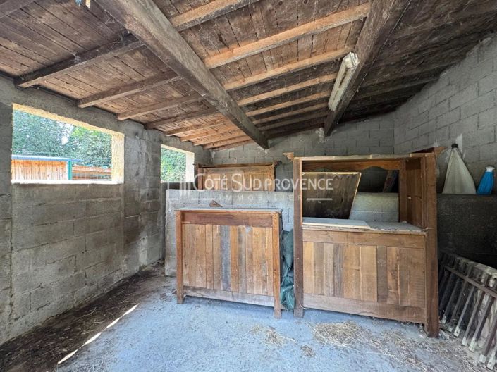 Image No.22-3 Bed House for sale