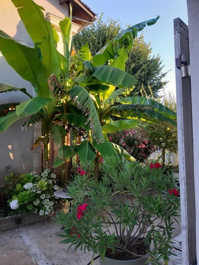 Image No.11-3 Bed House for sale