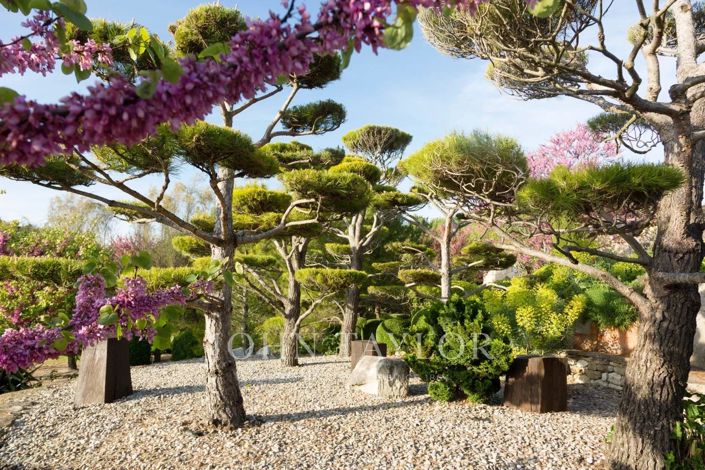 Image No.9-7 Bed House for sale