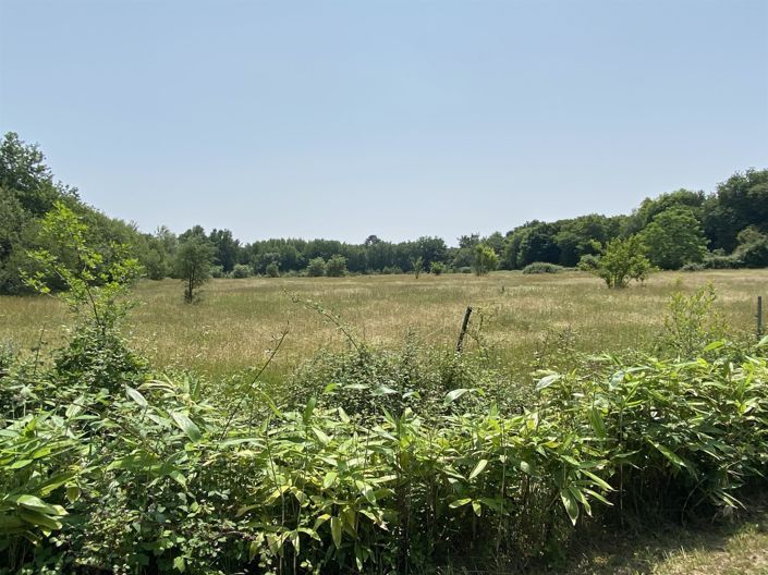 Image No.17-4 Bed House for sale