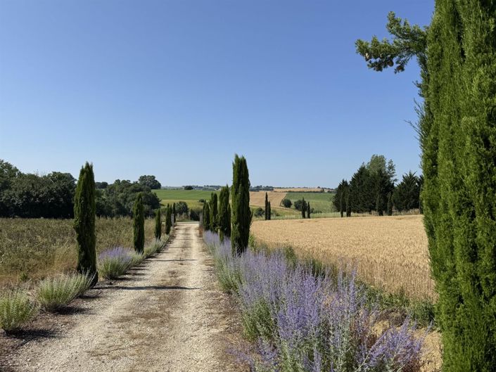 Image No.5-6 Bed Property for sale