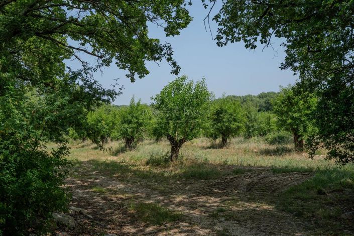 Image No.2-7 Bed House for sale