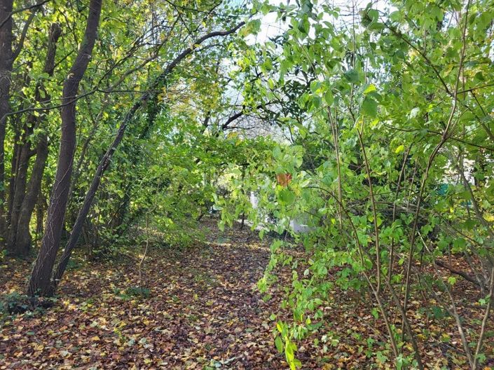 Image No.11-3 Bed House for sale