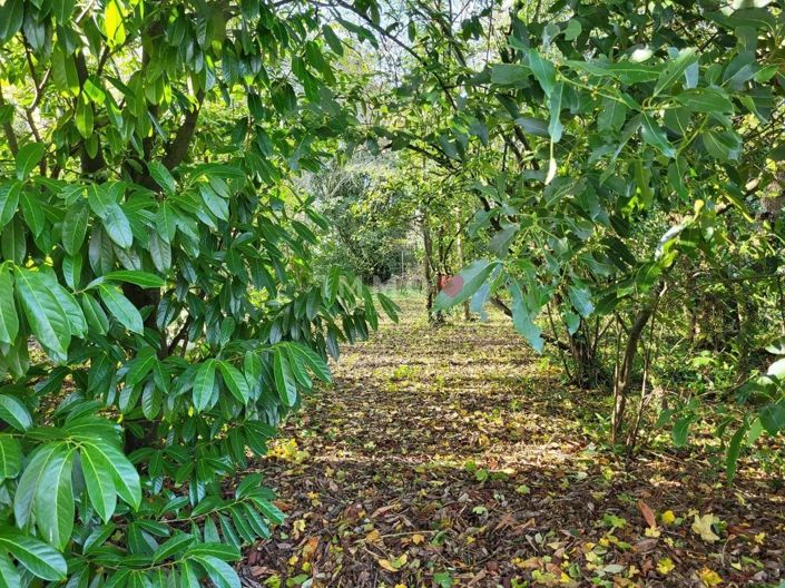 Image No.12-3 Bed House for sale